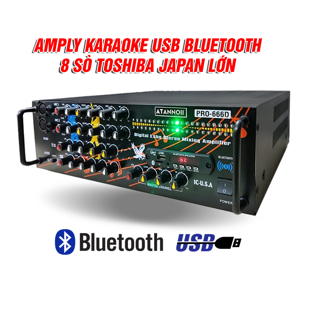 Amply ATANNOII PRO 666D