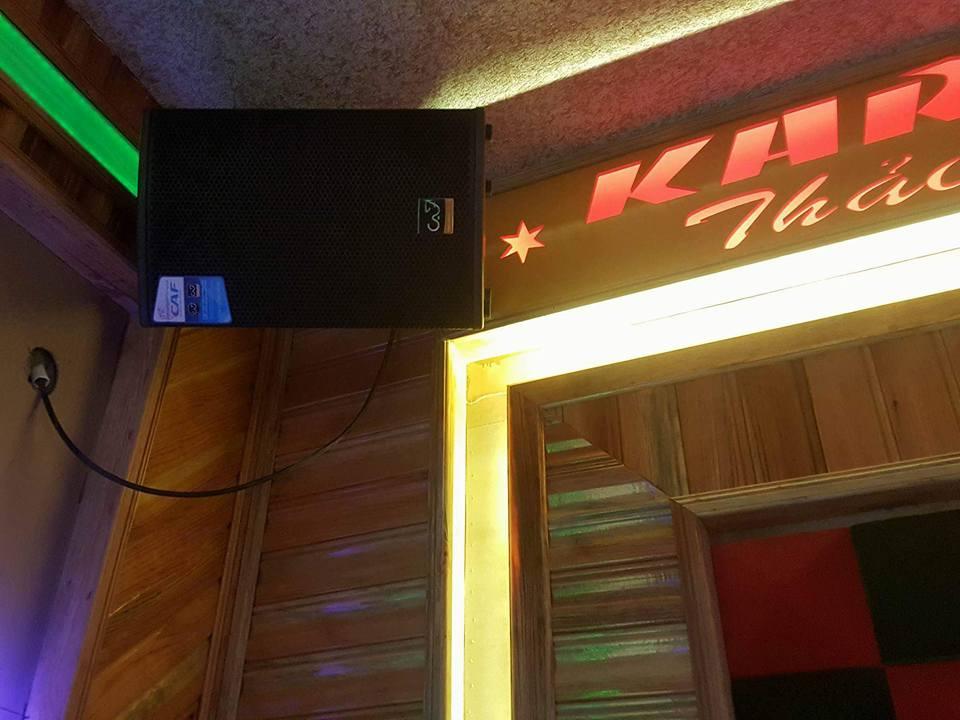 Loa cặp CAF CA110H new 2019