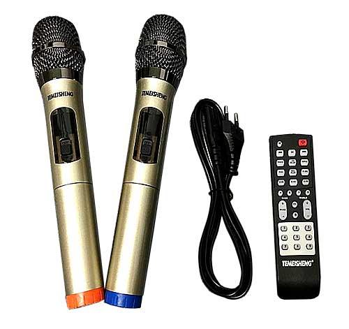 Loa Bluetooth Di Động Temeisheng TMS-502