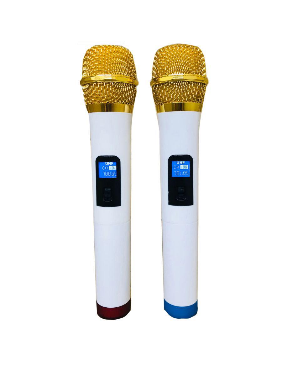 Loa kéo Bluetooth KTV SS1-15