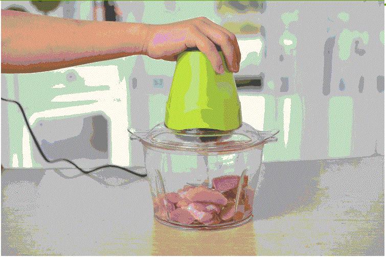 Máy xay thịt Lyeing 007