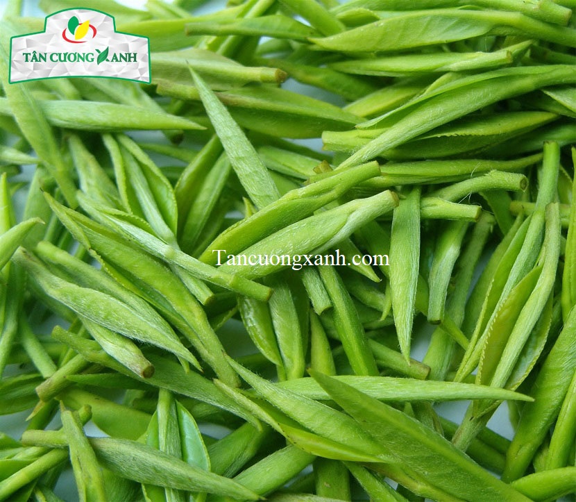 Trà xanh đinh tứ quý