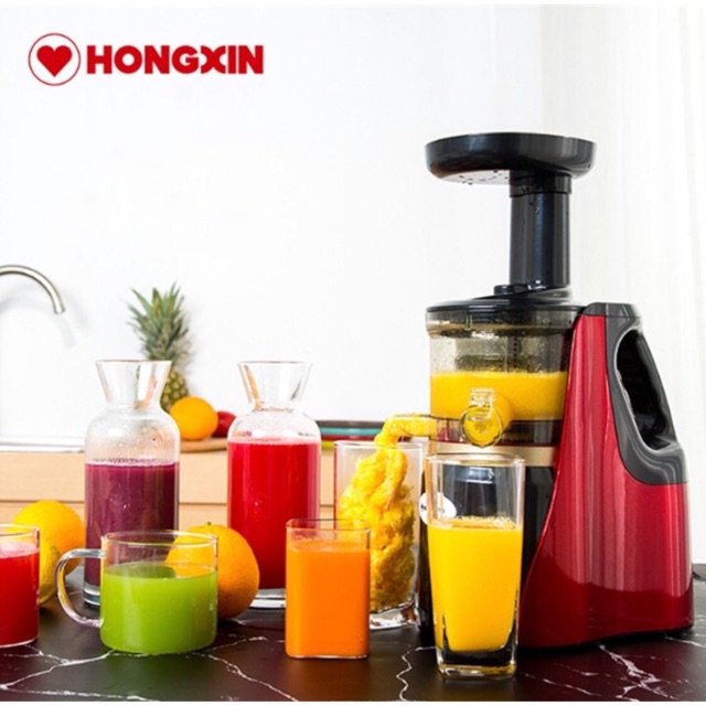 Máy ép trái cây chậm HongXin RH310