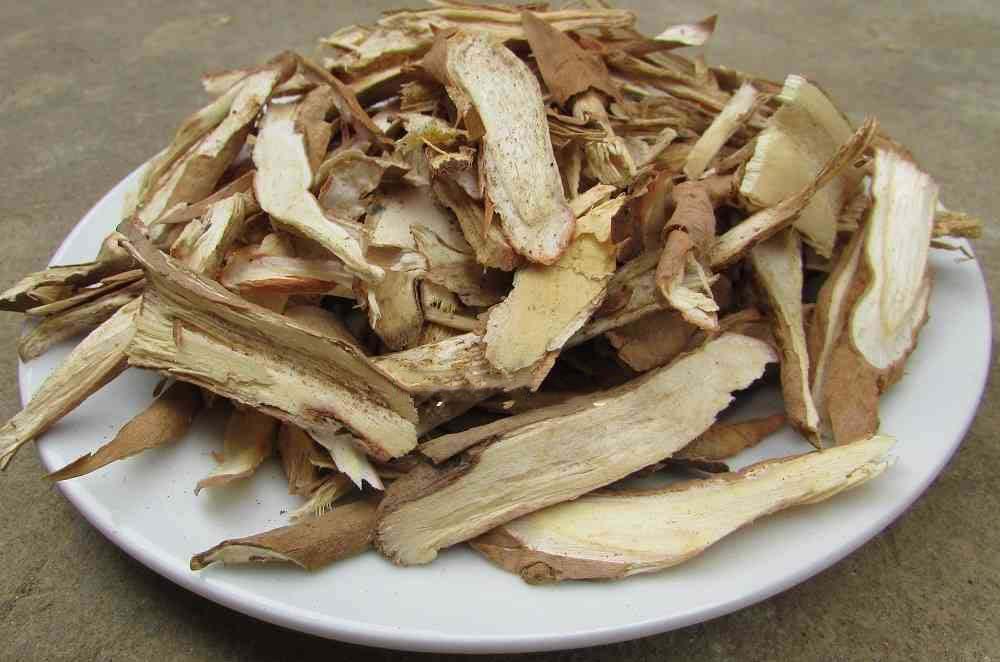 Sâm cau khô 500G