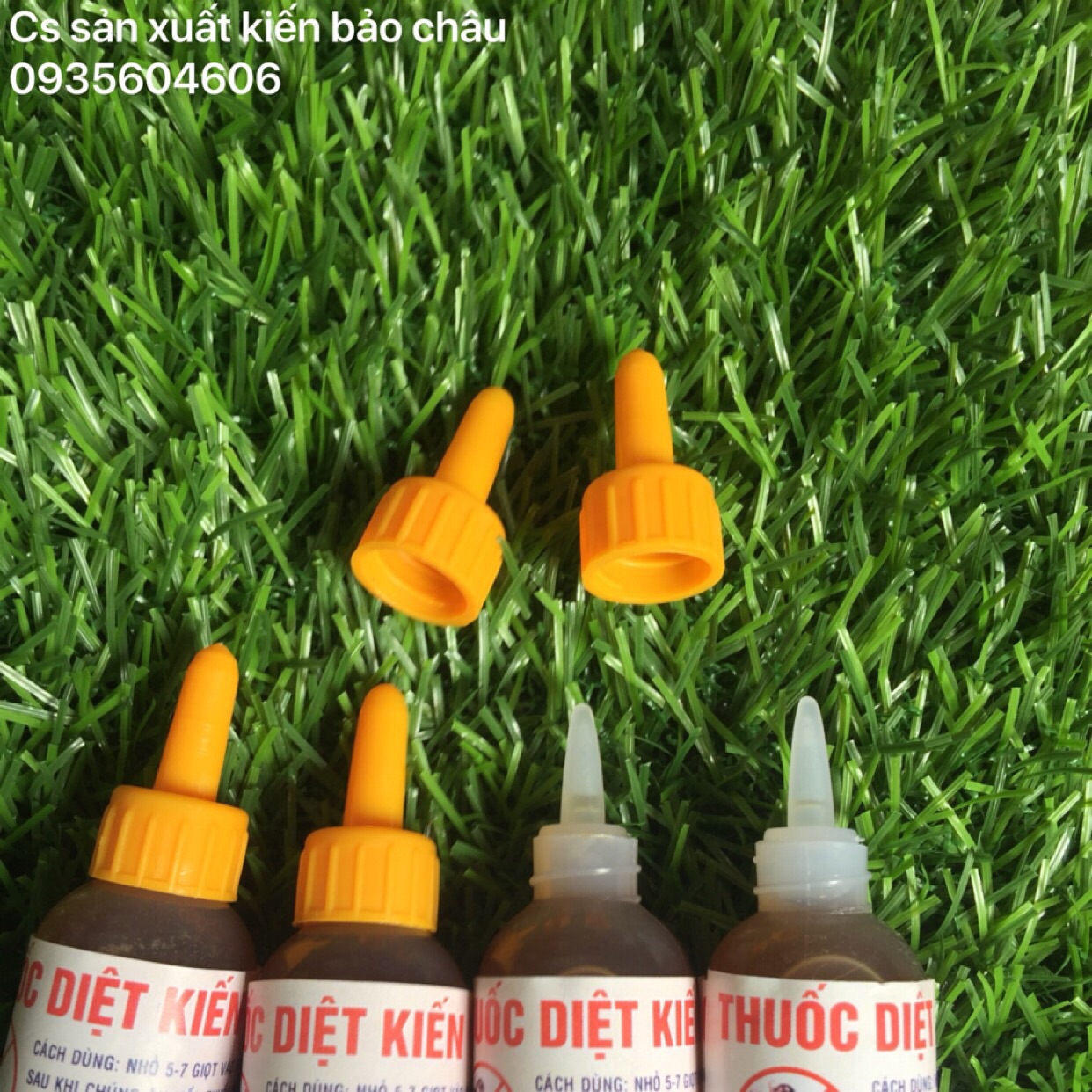 Thuốc diệt kiến sinh học combo 4 chai