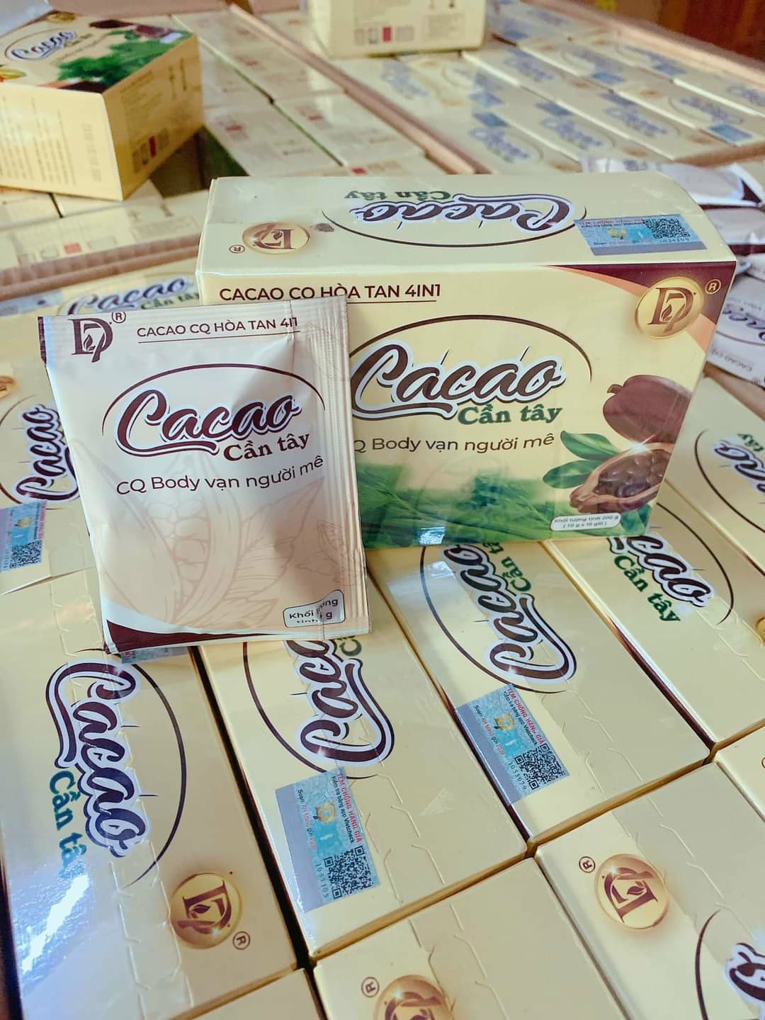 Cacao cần tây CQ