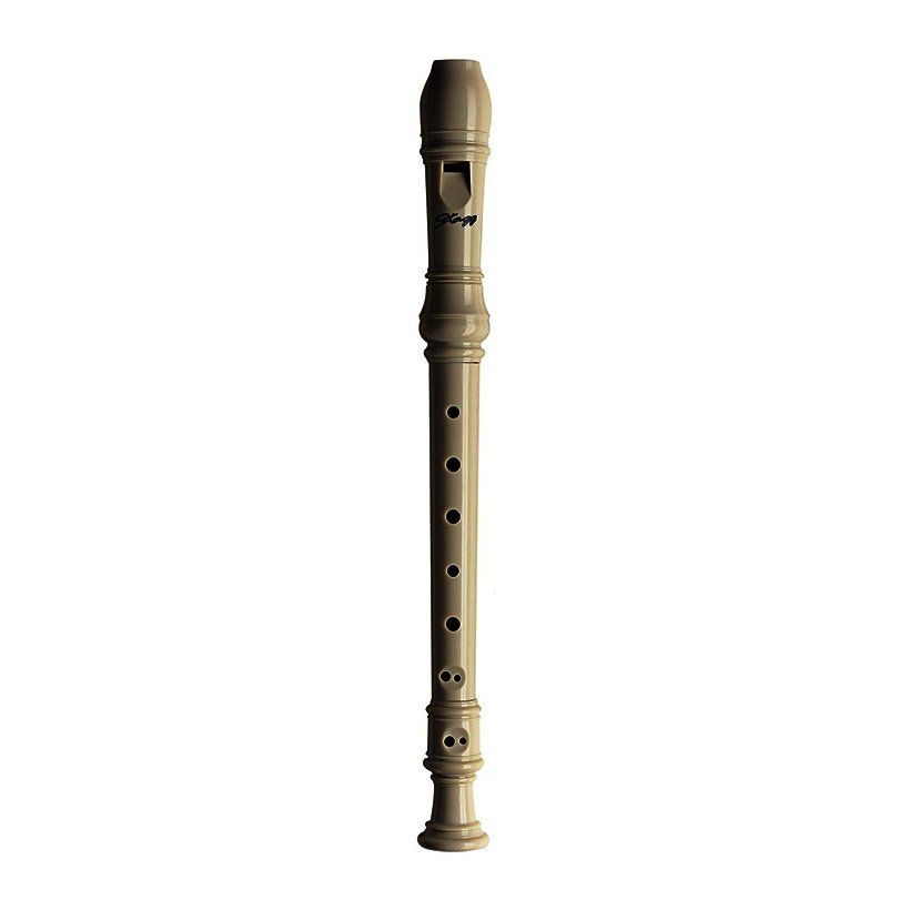 SÁO RECORDER STAGG REC-GER