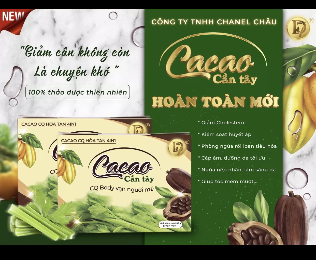 Cacao cần tây CQ