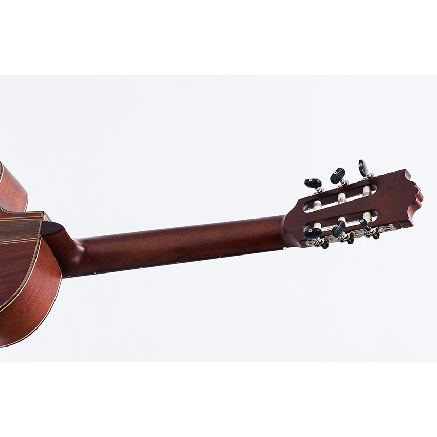 Đàn guitar DC350