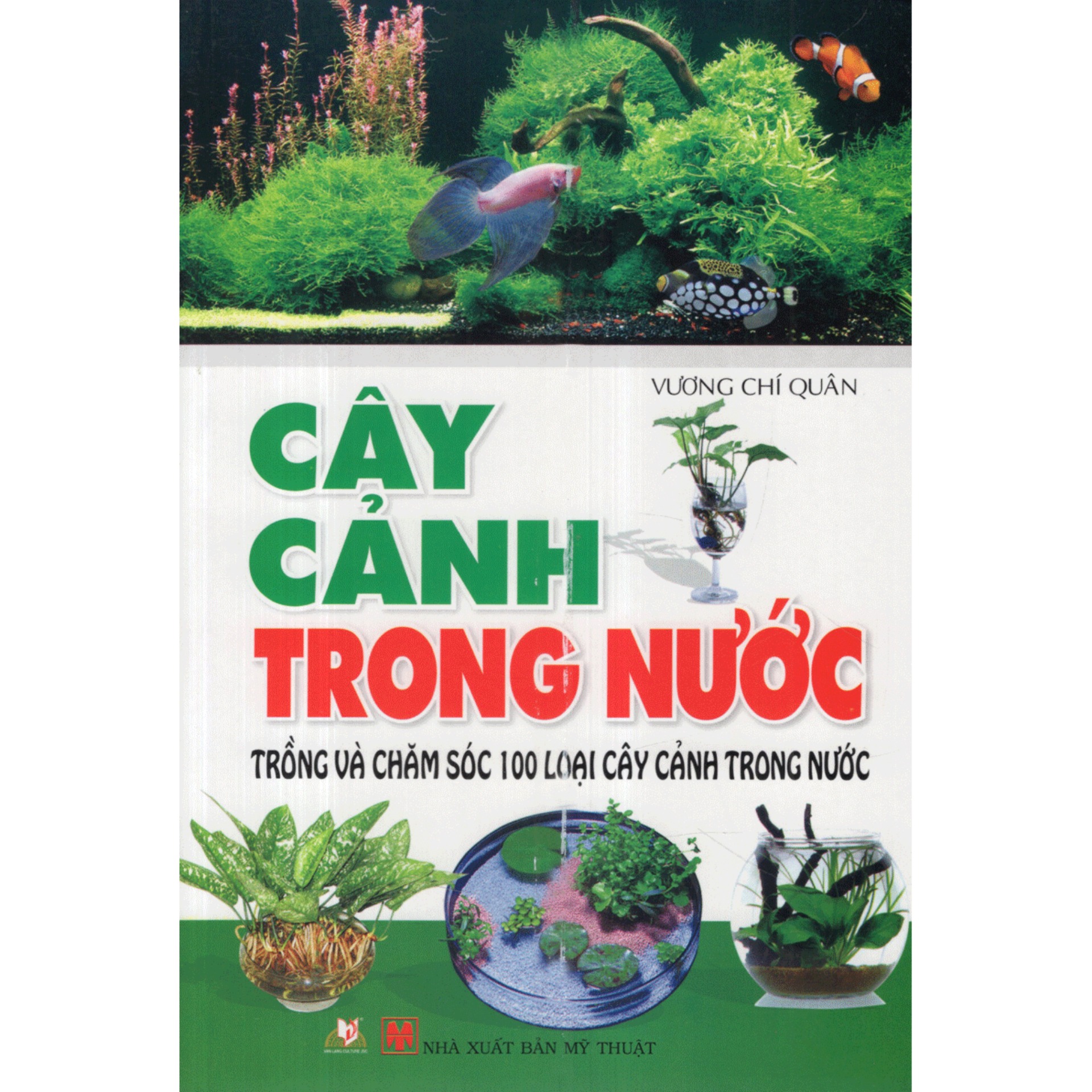 Cây Cảnh Trong Nước