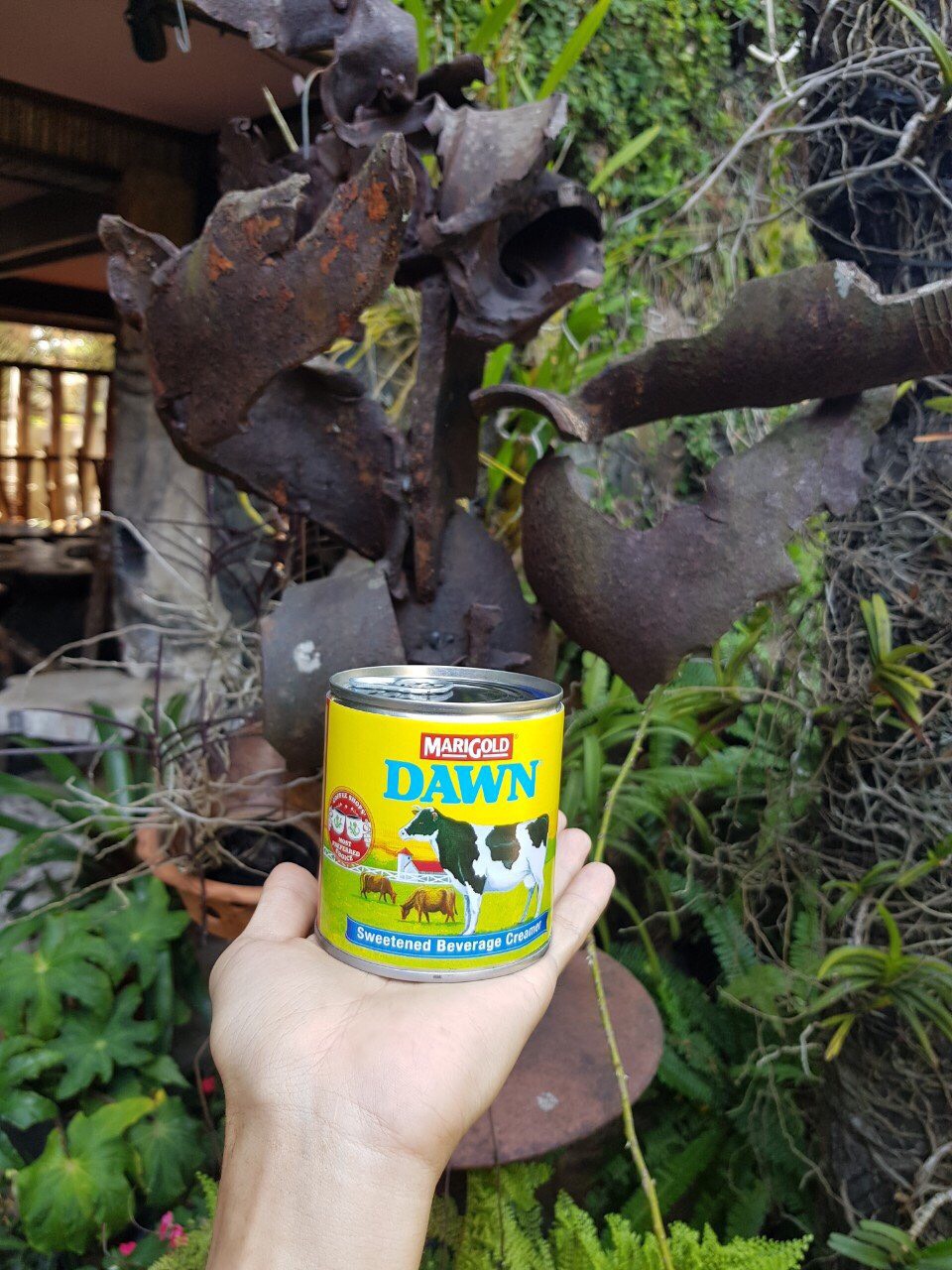 Sữa đặc Marigold Dawn 380g