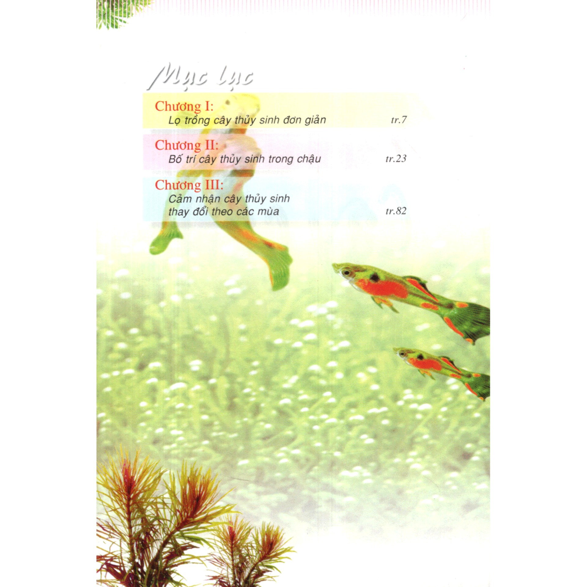 Cây Cảnh Trong Nước