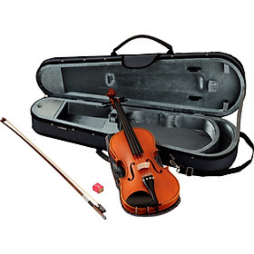Đàn Violin Vines