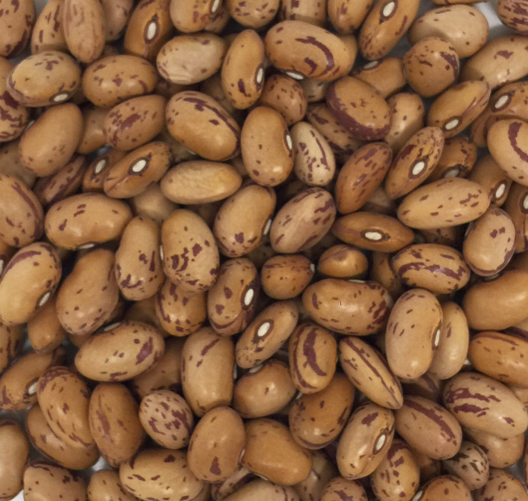 Đậu cúc Pinto nguyên hạt USA -500g