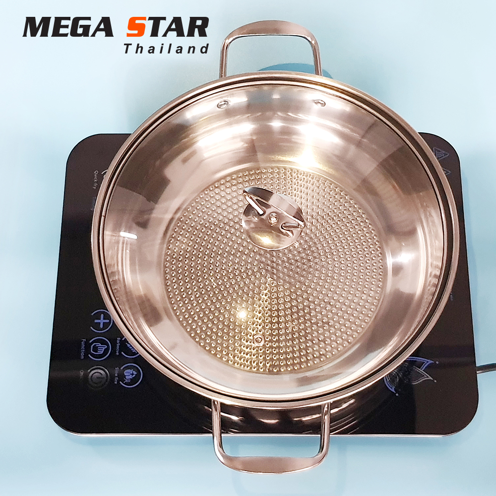 Bếp từ Megastar MIH-68