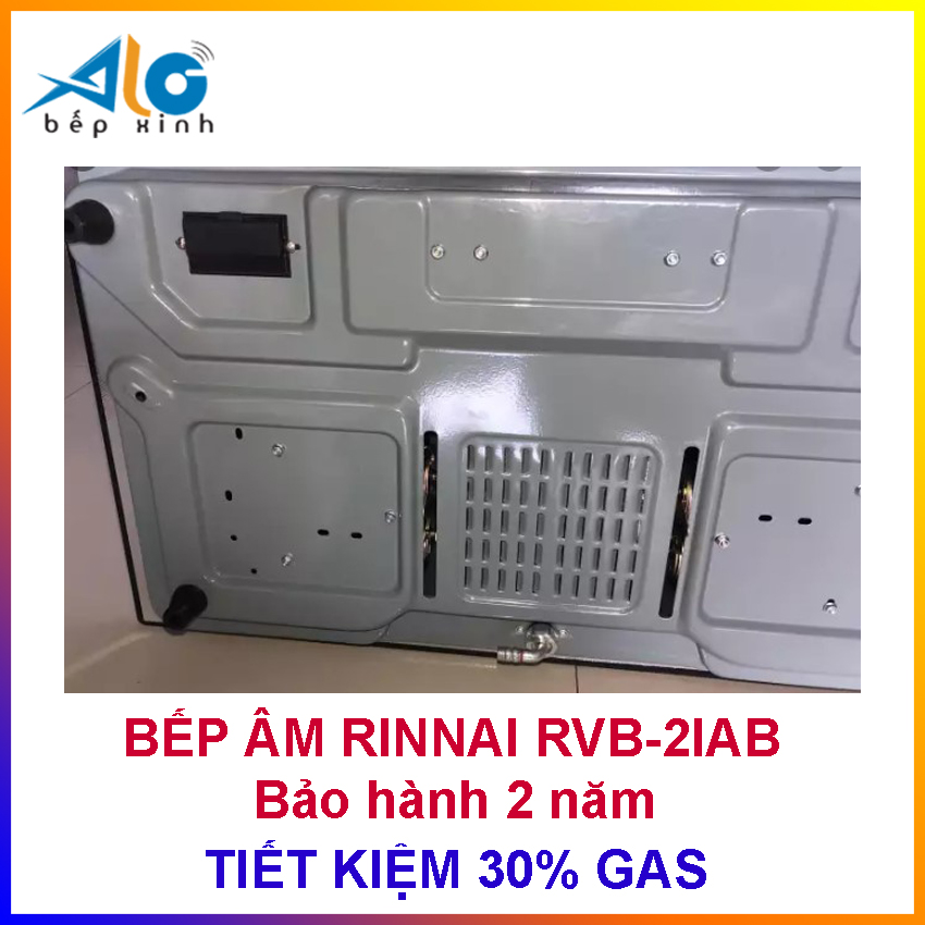 Bếp gas âm Rinnai RVB-2i