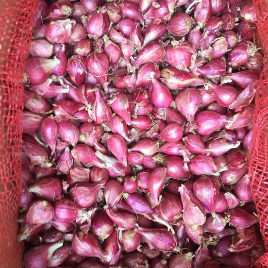Hành tím Sóc Trăng 1kg