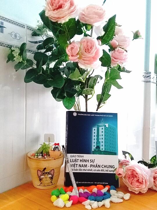 Giáo Trình Luật Hình Sự Việt Nam - Phần Chung