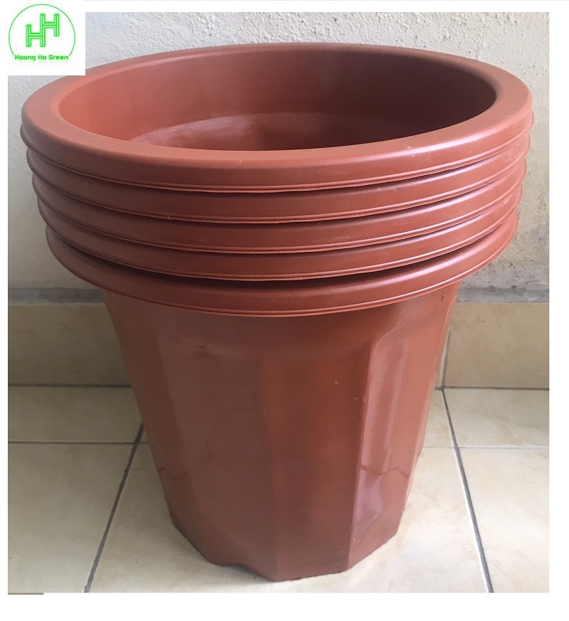 Chậu Nhựa Trồng Hoa, Cây Cảnh E350 CN