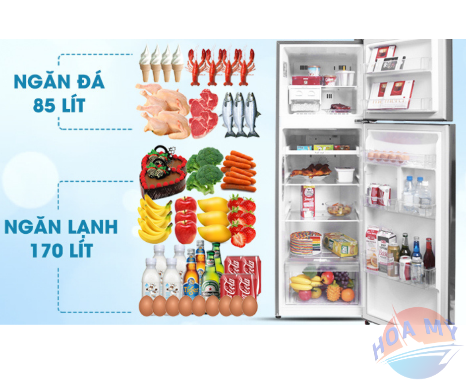 Tủ lạnh LG GN-L255PS/L255S