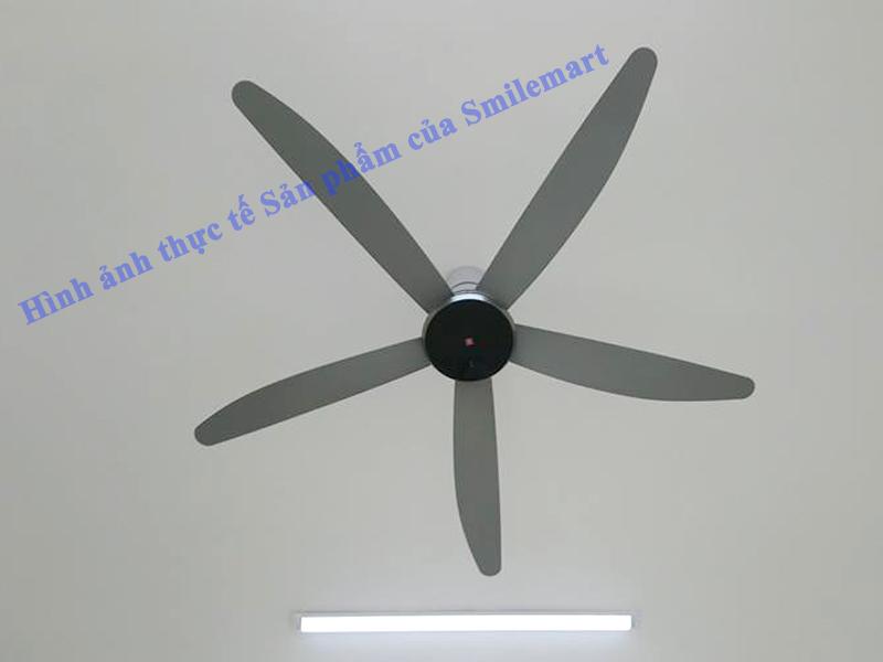 Quạt Trần KDK T60DW