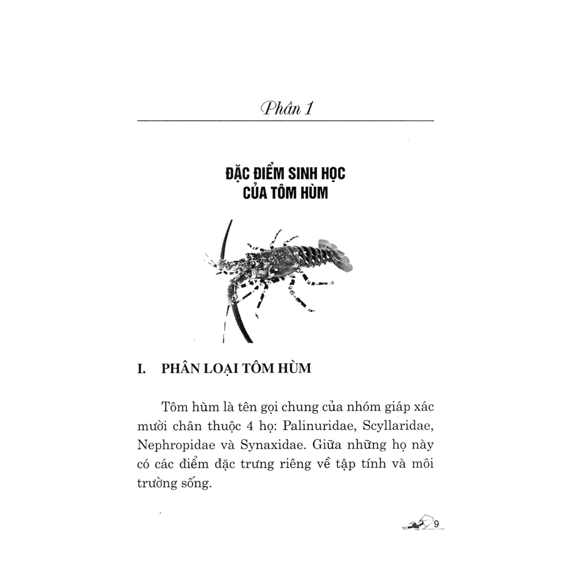 Kỹ Thuật Nuôi Tôm Hùm