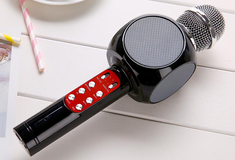 Microphone karaoke kèm loa WS-1816