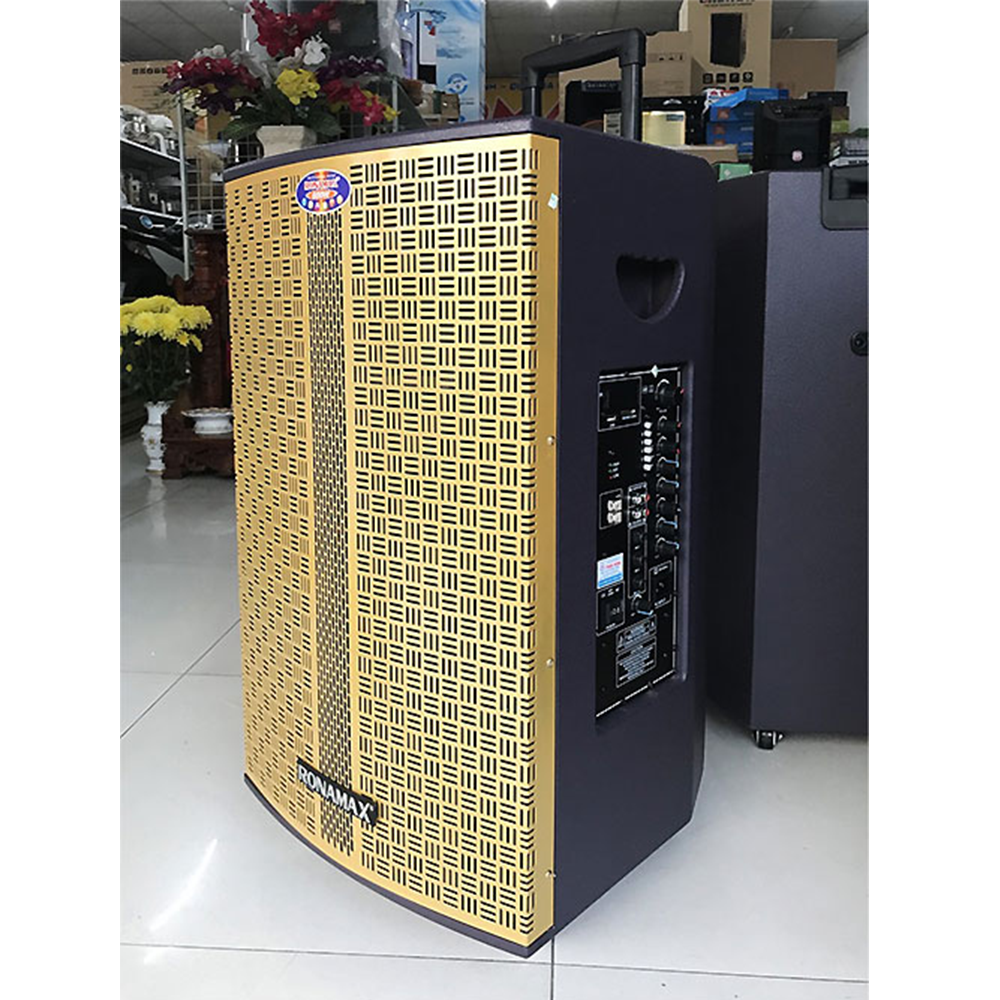 Loa karaoke bluetooth Ronamax MC15