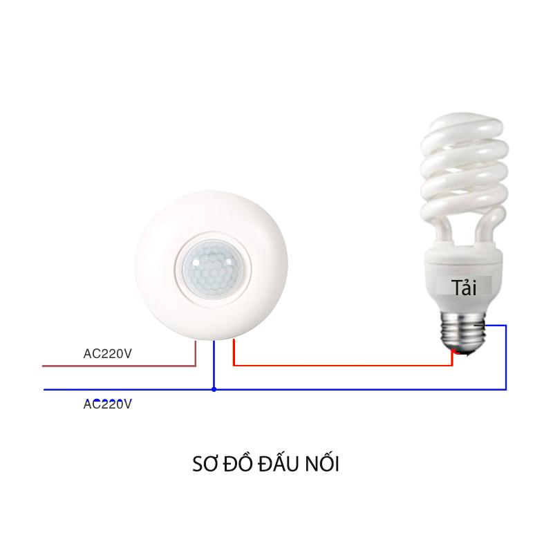 Công tắc cảm biến P003