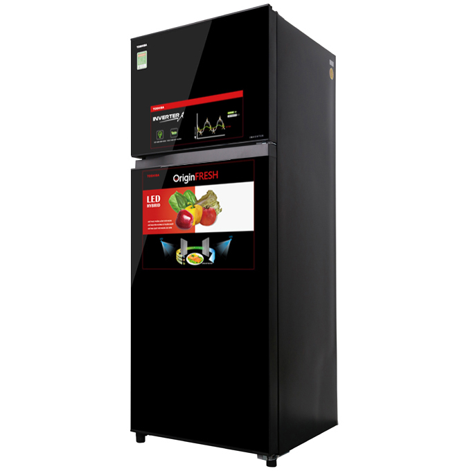 Tủ Lạnh TOSHIBA GR-AG46VPDZ 409L
