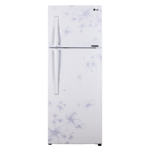 Tủ Lạnh LG GN-L275BF 272L