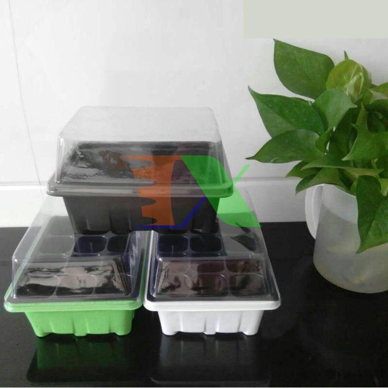 Bộ khay ươm cây, khay ươm hạt, vỉ ươm