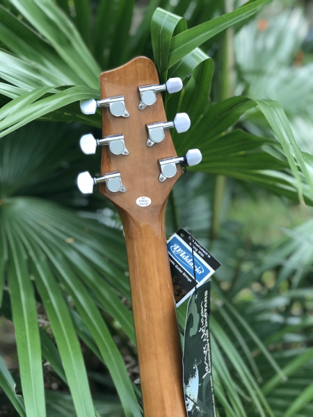 Đàn guitar Acoustic Stagg NP32