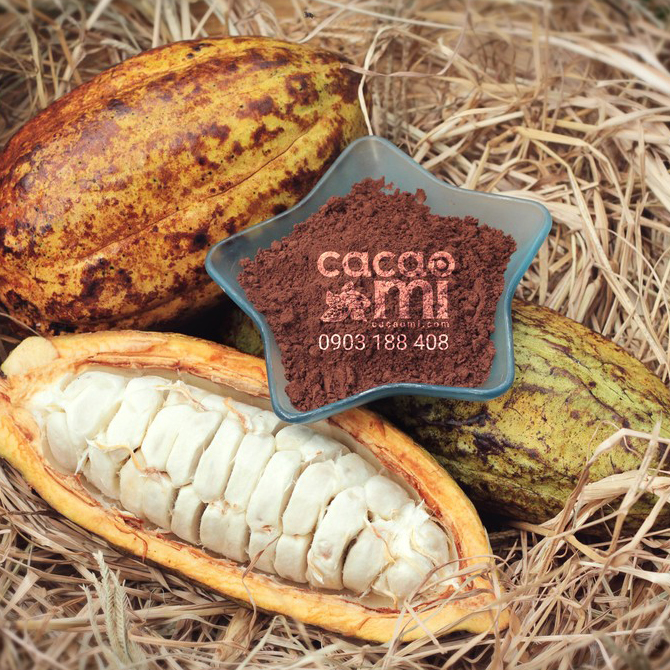 Bột cacao CacaoMi Premium 1kg
