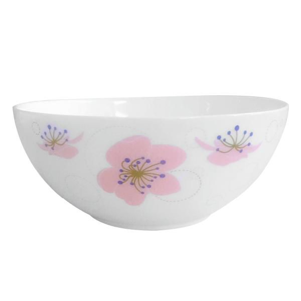 Bộ bát đĩa thủy tinh Larah Borosil BRS10I