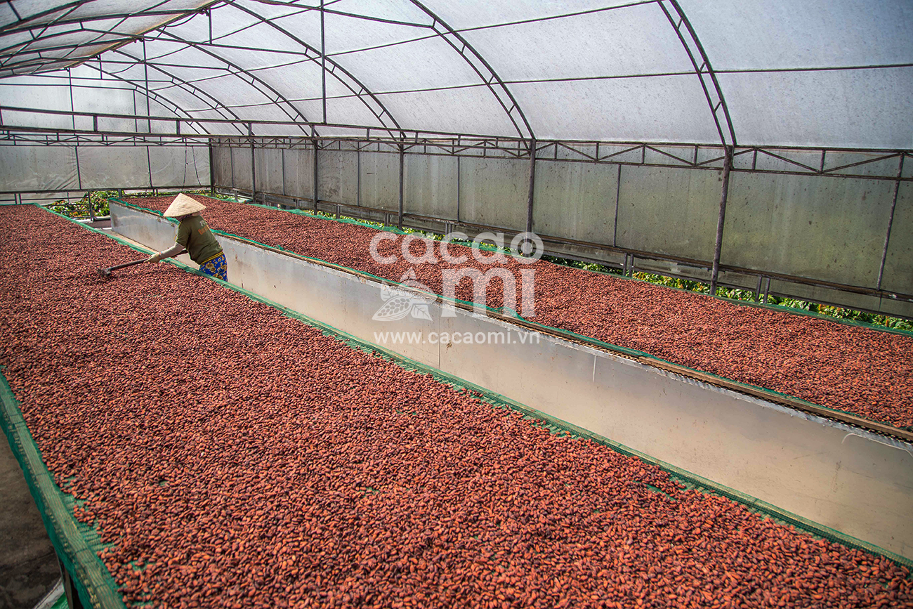 Bột cacao CacaoMi Premium 1kg