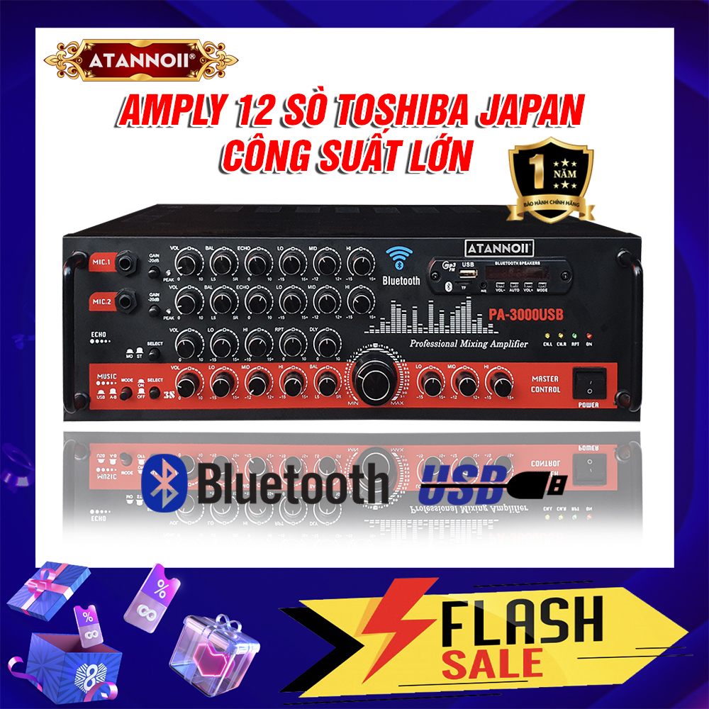 Ampli Bluetooth Karaoke ATANNOII PA-3000USB