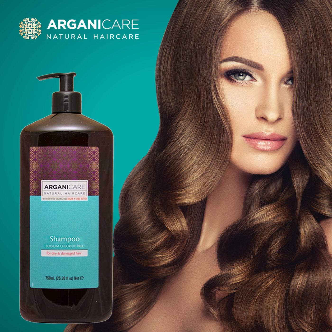 Dầu Gội Phục Hồi Arganicare Argan & Shea Butter 750ml