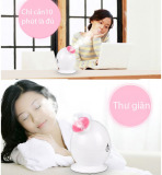 Máy xông mặt mini Kingdom  KD233