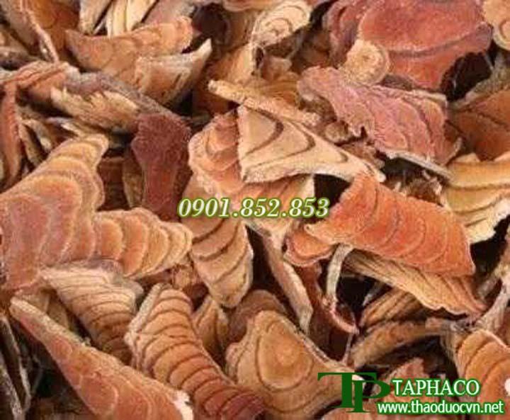 Kê huyết đằng 1kg