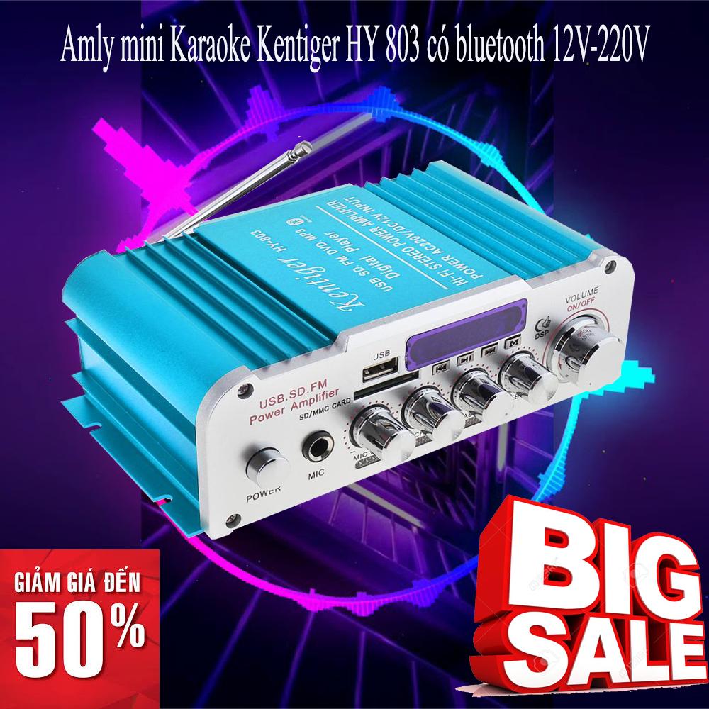 Amly mini Karaoke Kentiger HY 803