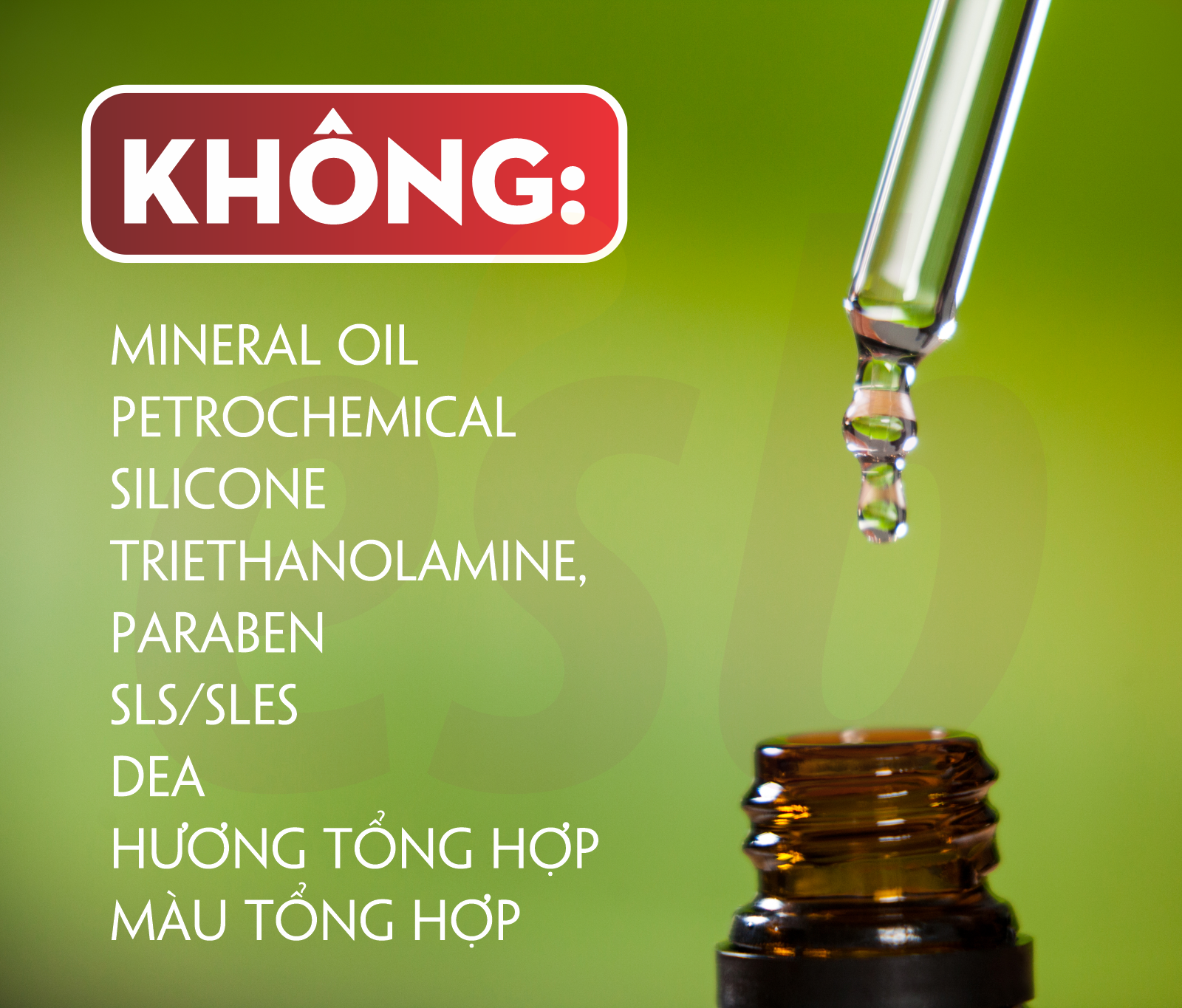 Tinh dầu Essenbee Cam