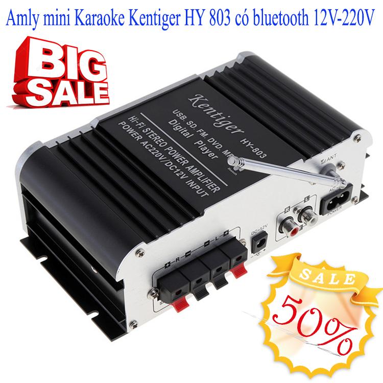 Amly mini Karaoke Kentiger HY 803