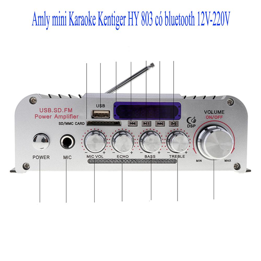 Amly mini Karaoke Kentiger HY 803