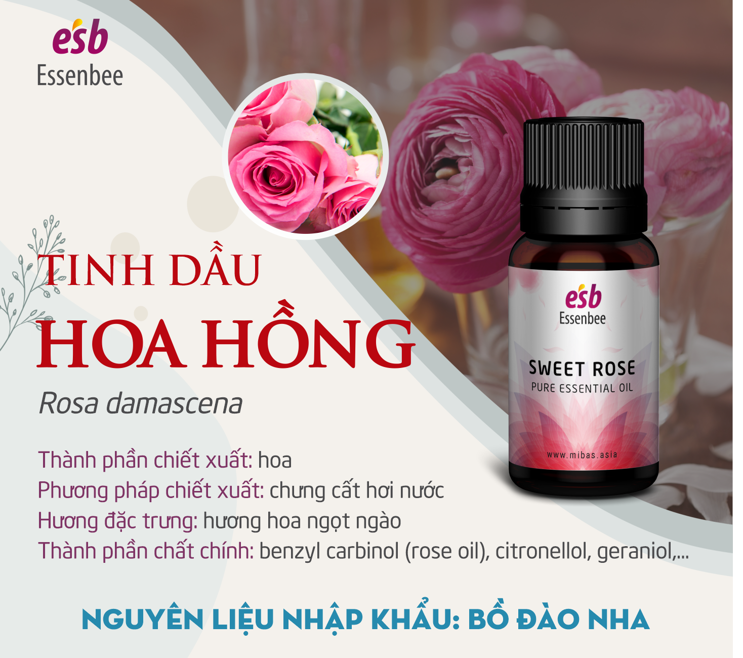 TINH DẦU ESSENBEE HOA HỒNG