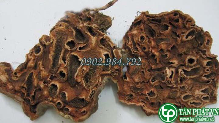Bí kỳ nam 1kg