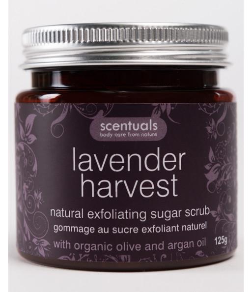 Tẩy tế bào chết Lavender Scentuals Lavender Harvest Natural Exfoliating Sugar Scrub 125g