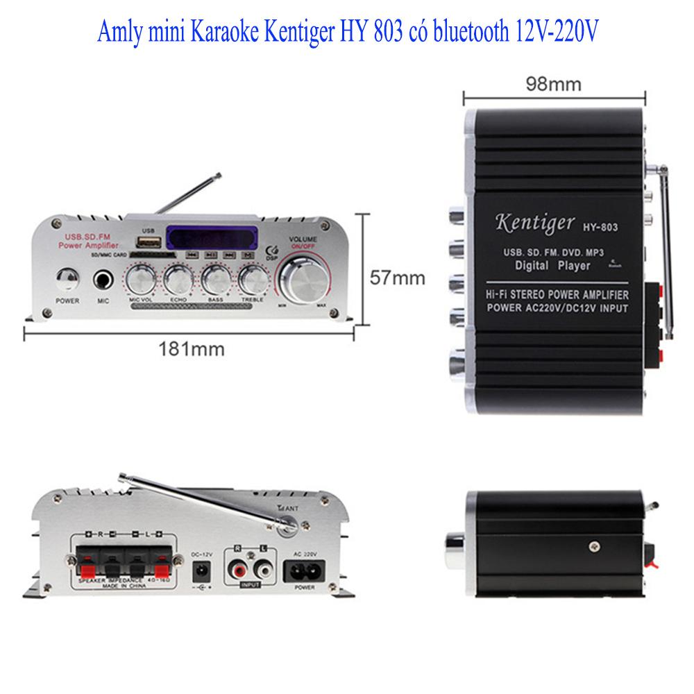 Amly mini Karaoke Kentiger HY 803