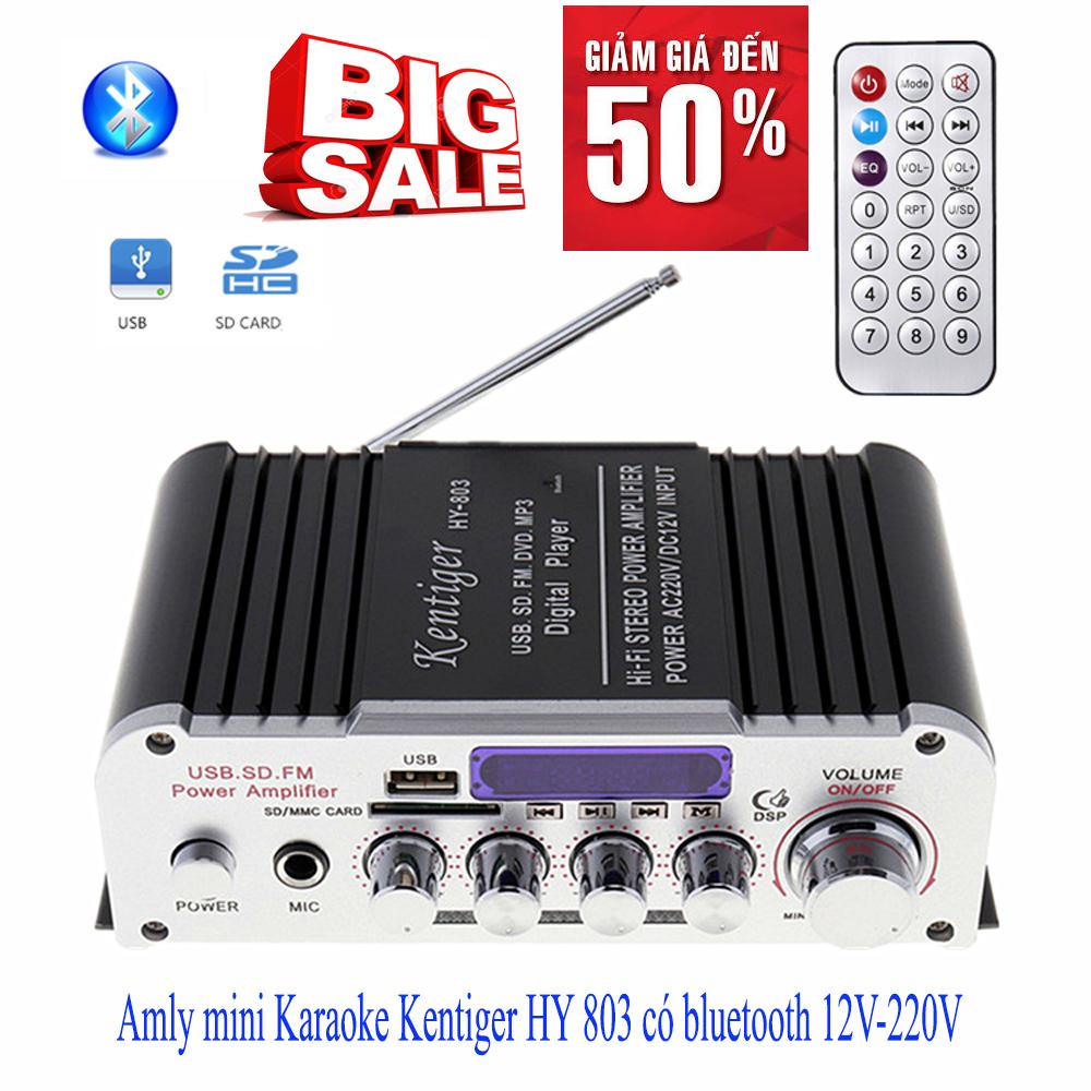 Amly mini Karaoke Kentiger HY 803