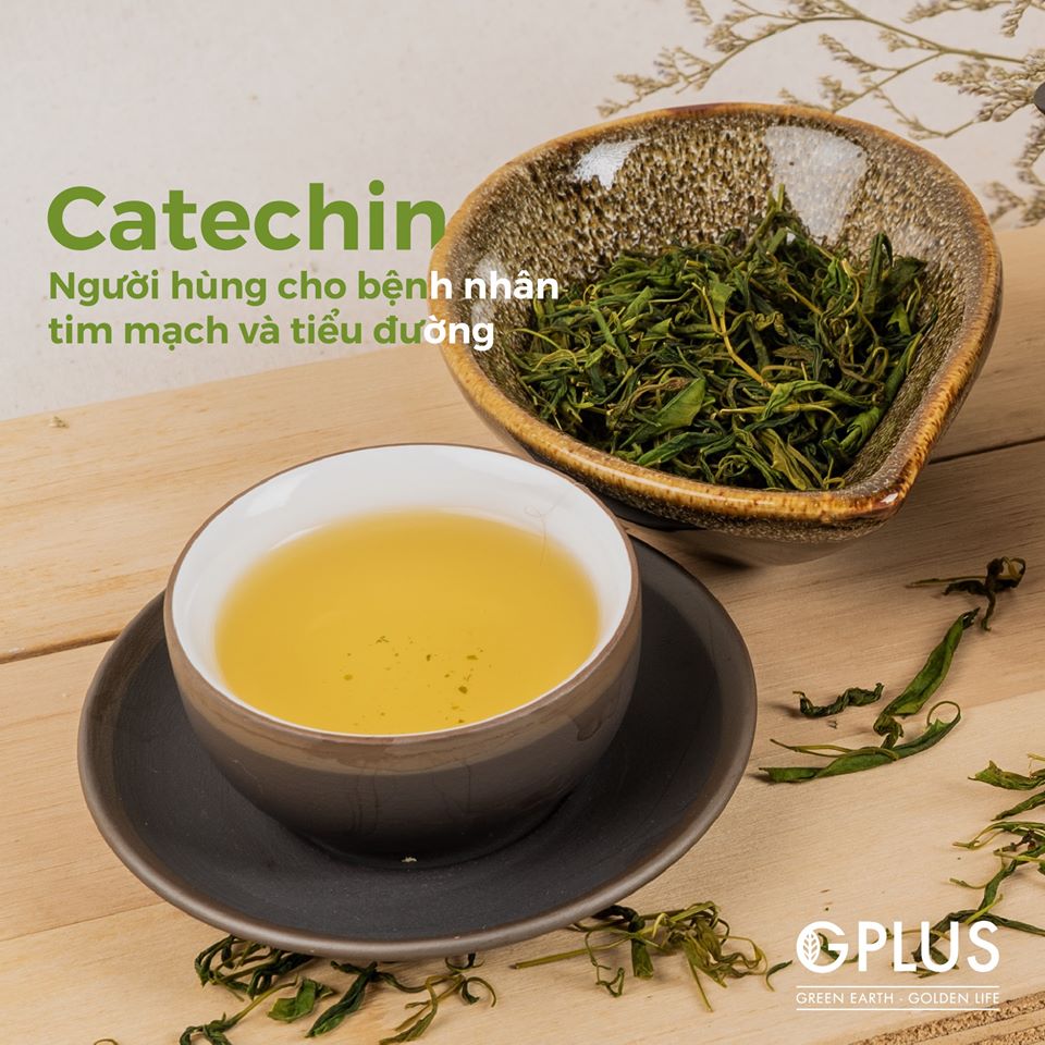 Trà an thần Chandana lá Đàn Hương